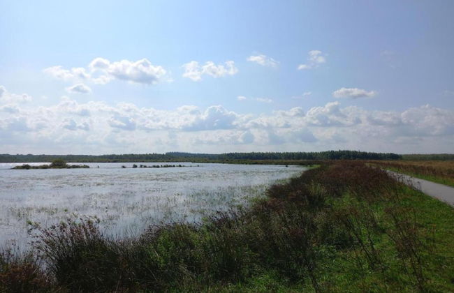 Chalet in Friesland Near Large Lakes - Foto 27