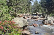 Appartement Le cocon Mont louis 66 - Photo 7