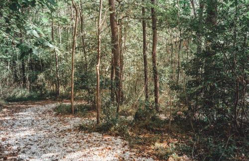 The Green Glamping Getaway - Foto 53