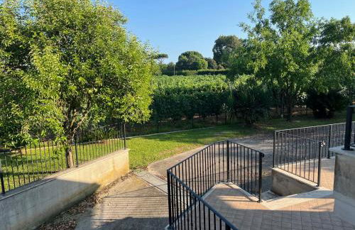 Seguire Le Botti - Agriturismo Cantina Sant'Andrea - Foto 24