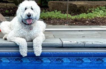 5BR Oasis wtih Pool, spa and sports court - Foto 12