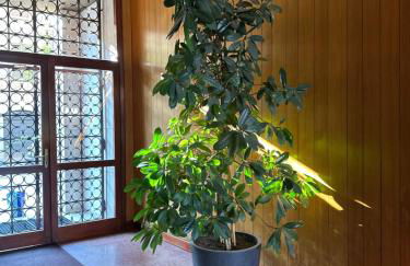 Ponchielli LOFT - Foto 44