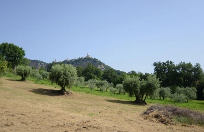 Country House Le Margherite - Foto 28