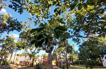 Casa Pequi - Foto 22