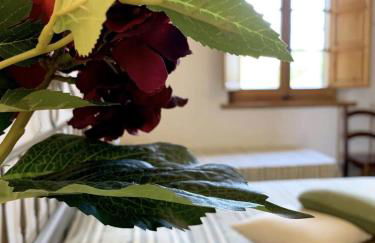 Dimora Le Galere - Pool & Relax - Foto 55