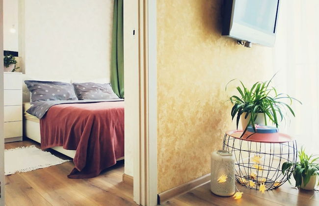 MalinaApt Pink Olive - Foto 7