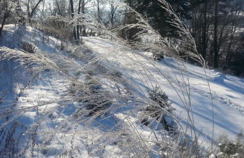 Ferienhäuschen Sans Pareille bei Bayreuth - Foto 51