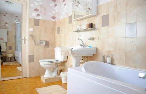 1 Bedroom House 20min walk to centre in Tournus - Foto 8