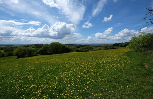 altes forsthaus schotten - Photo 13
