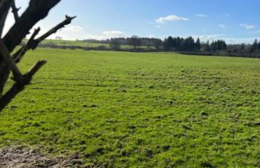 Cosy country cottage in rural location - Foto 14