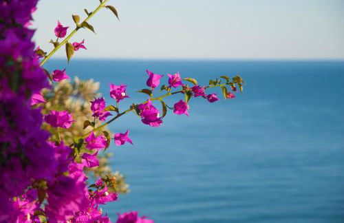 Villa Eliodora - due appartamenti - Foto 6