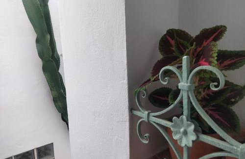 Verde Oliva apartamento - Foto 50