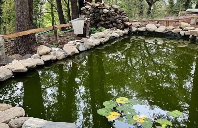 Poggio Roseto - Foto 71