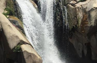 Redwood Retreat, Mountains, Adventure and Nature - Foto 41