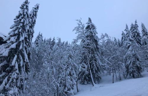 Stijlvol 4-kamerappartement in Valmorel aan de piste - Photo 53