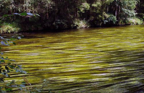 Ferienhaus Meineke - Foto 23