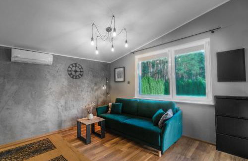 Sławica Inn domek letniskowy nad jeziorem - Foto 4