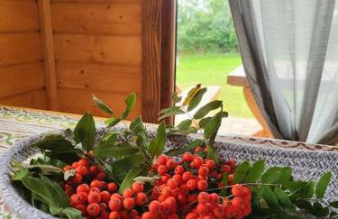 Domki na Górniej Łące - Domek Słowik - Foto 39