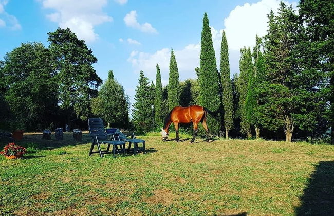 Agriturismo Sinciano - Foto 28