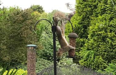 Entire guest house, in Pewsey Vale, Wiltshire - Foto 29