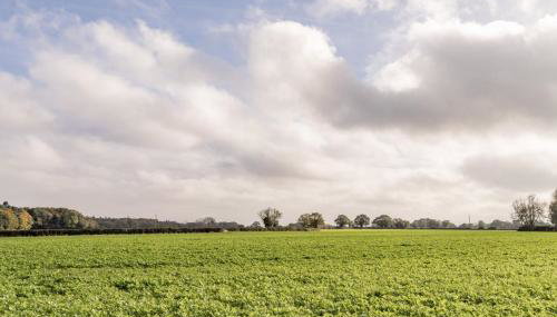 Barn Owl Cottage, Field Dalling - Foto 4