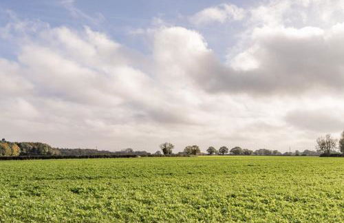 Barn Owl Cottage, Field Dalling - Photo 4