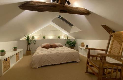 Duplex cinéma - centre historique Tours - Foto 13