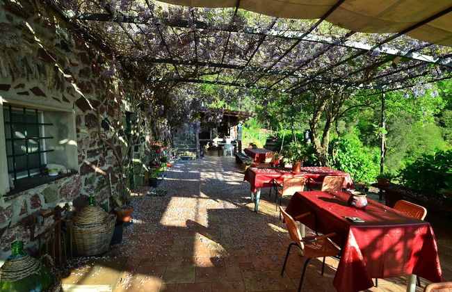 Hillside Retreat Near 5 Terre - Foto 9