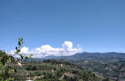 Bungalow Sixdays 3 - Photo 48