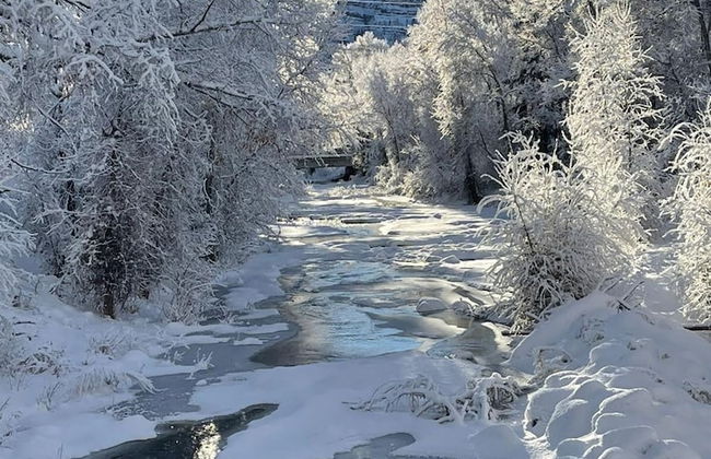 Creek 15 min to Purgatory Garage Parking - Foto 66