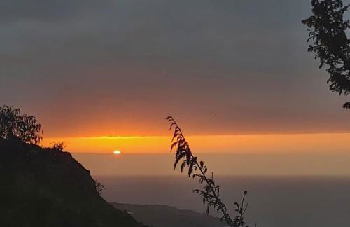 CASAS EN FINCA ECOLÓGICA LA ESPIRAL, NATURALEZA, CALMA Y VISTAS al MAR, - Foto 39