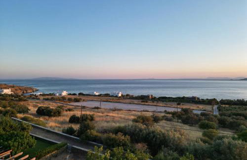 Theros Blue - Foto 5