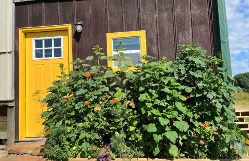 The Sunflower - Foto 10