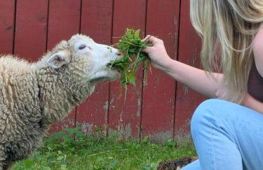 Kokuszka Village - domki drewniane - Foto 33