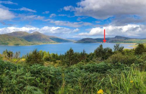 Market Stance - Photo 31