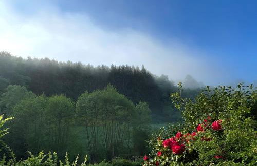 House with a View - Modernes Ferienhaus in der Eifel - Foto 33