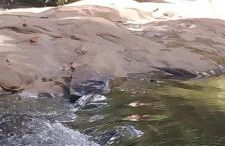 Villa Torino - Foto 18