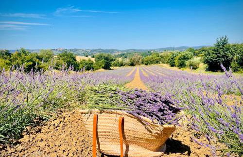 Agriturismo CasaViVa - Foto 4