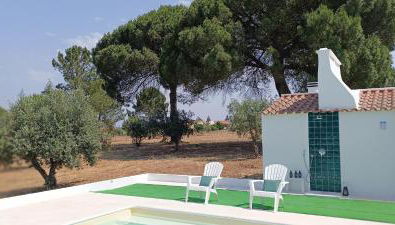 Quinta do Pinheirão - Foto 5, Garden, Garden view