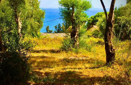 Anna's cottage house - Foto 60