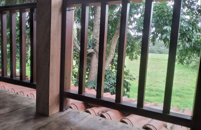 Green Herbal Ayurvedic Eco-Chalets - Foto 22