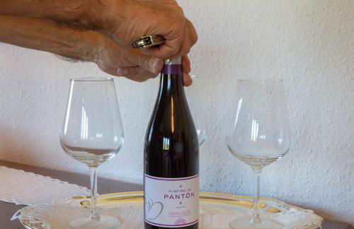 Villa con piscina en Pantòn Ribeira Sacra Galicia Ideal para familias - Foto 31