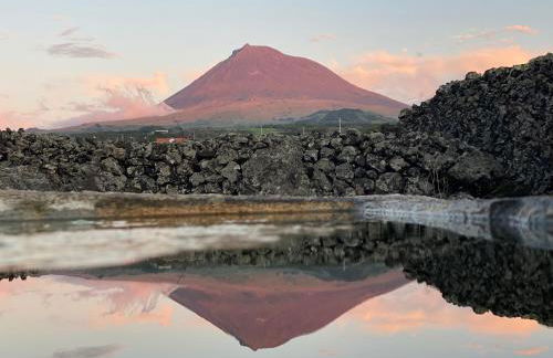 Ocean View Pico - Photo 48