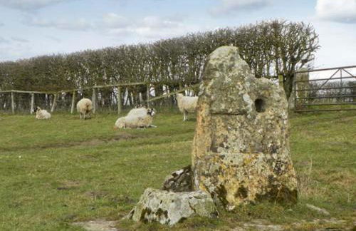 The Hayloft - Photo 18