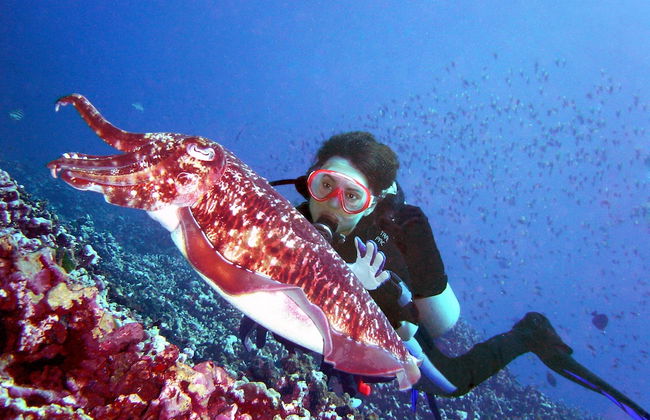 Casuarina Shores - Foto 60