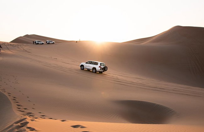 Private Liwa Full Day Desert Safari para parejas - Foto 6