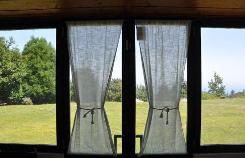 Luxury VILLA CAMÉLIA. Mountains, golf, horses, levada walks. - Foto 56