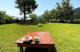 Παραδοσιακή πέτρινη κατοικία στην Βλάχα Ελάτης - Foto 11