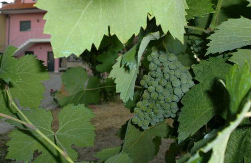 Quinta das Lindas 2 - Foto 43