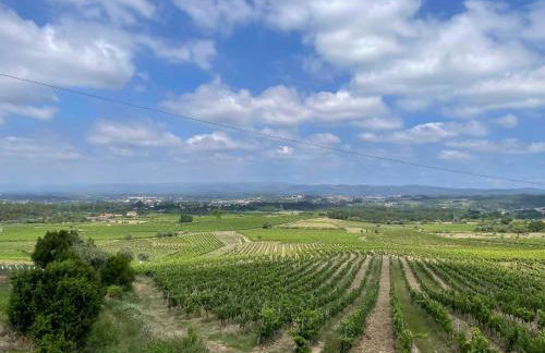 Casa Luis Pato - Foto 37